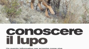 Locandina Evento – Conoscere il lupo