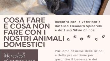 Cosa fare e cosa non fare con i nostri animali domestici