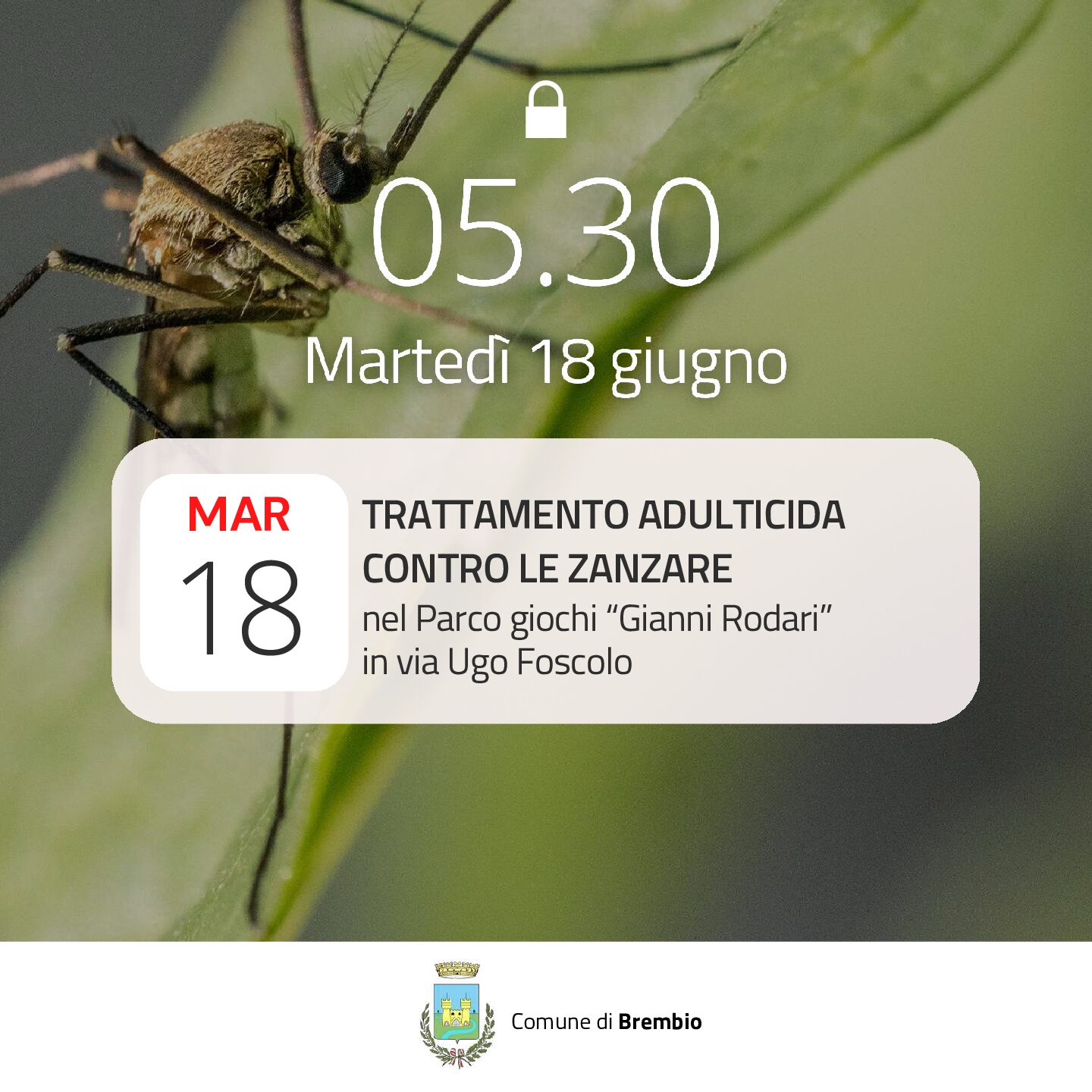 Comune di Brembio | Trattamento Adulticida Parco Gianni Rodari 2024